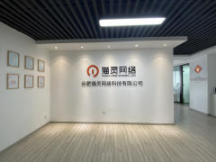 合肥网站推广